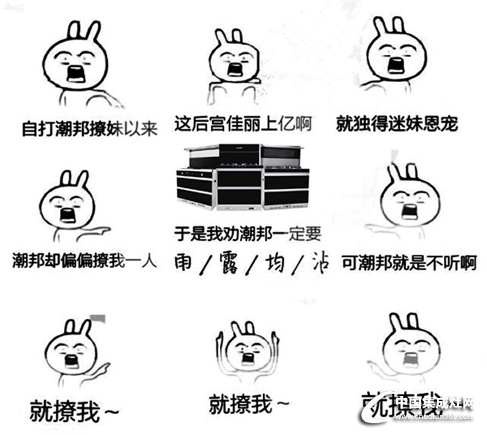 我勸皇上要雨露均沾~但皇上偏不聽，就寵潮邦集成灶！