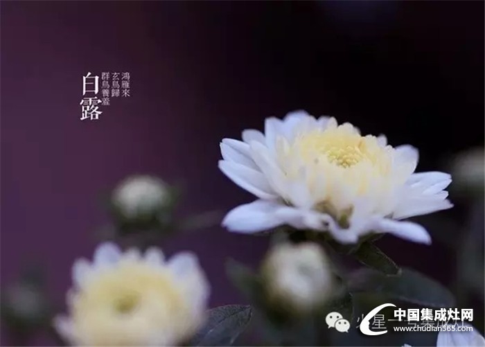 白露至秋意濃，火星一號教你怎么應(yīng)對秋寒