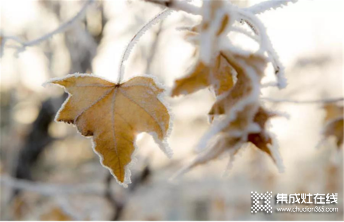 浙派集成灶給你帶來(lái)冬日溫情，讓人生充滿溫情！