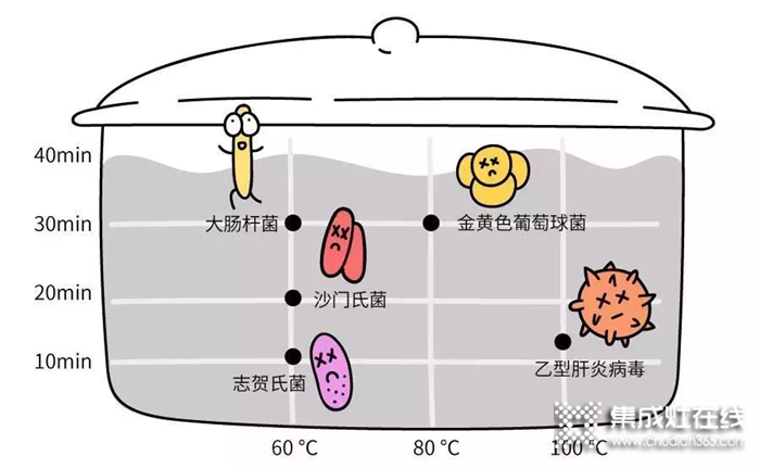 細(xì)菌無(wú)處隱藏，邦的給全家安心守護(hù)