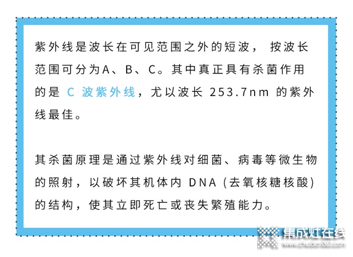 還在開水燙碗？美大來教你正確的消毒方法啦！