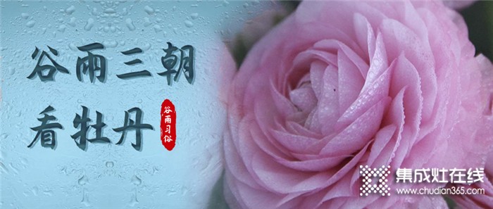 莫尼集成灶：今日谷雨，萬物生長宜播種，宜吃春！