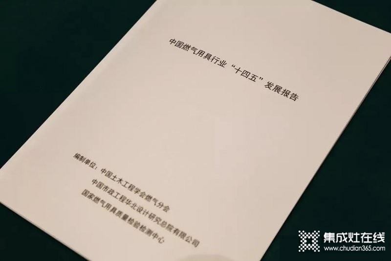 《中國(guó)燃?xì)饩咝袠I(yè)“十四五”發(fā)展報(bào)告》重磅首發(fā)，從多方面指出行業(yè)發(fā)展建議意見！_2