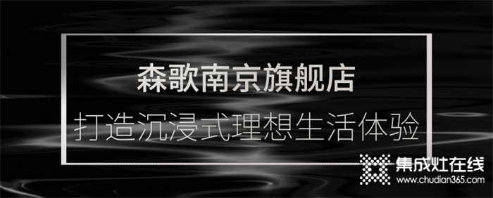 森歌南京分公司攜四店盛大開業(yè)，探索理想廚房生活的可能