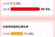 帥豐電器2021年報：營收、凈利潤實現(xiàn)雙位數(shù)增長 (1091播放)