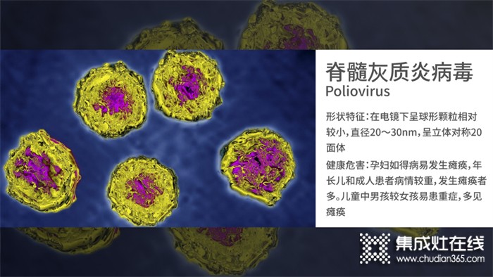 四星級(jí)除菌是什么概念？為什么要用四星級(jí)除菌洗碗機(jī)？森歌為你解答！